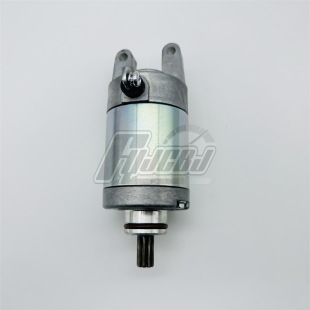 Motorcycle motor X-MAX300 CZD250 CZD300 XMAX300 motor starting motor 16-22
