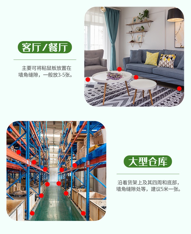 粘鼠板_11.jpg