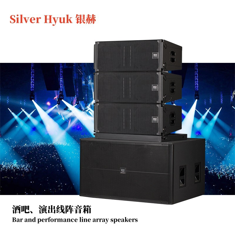 Equipo de sonido de escenario doble altavoz de matriz lineal de 10 pulgadas sistema de amplificación de sonido de altavoz de alta calidad