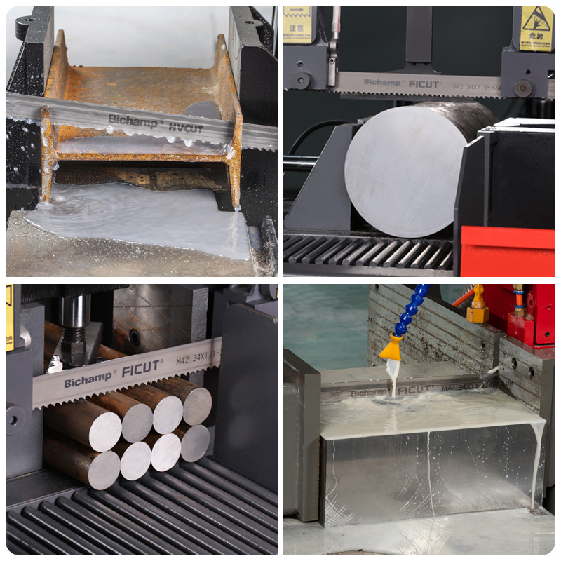 ̩��Bichamp����FICUT˫���������������������и��ֺϽ��