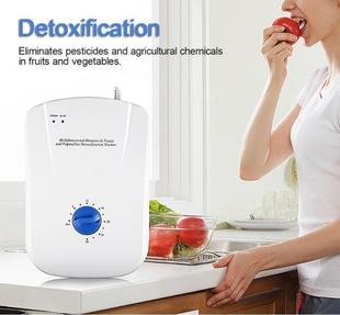 Multifunctional Fruit and Vegetable Purifier Active Oxygen Machine Ozone Machine Melon Fruit and Vegetable Machine Air