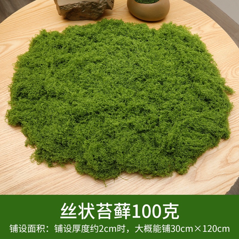 Light green silk moss 100 grams