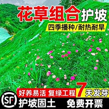 o·NӲݻɽwѷNļͺͺo¹ݻ첥