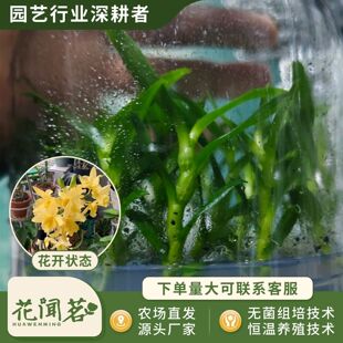 ��ʯ�� 3054 �¹�ƿ���׳ɻ�M��С�� �҃������Ի�������r��