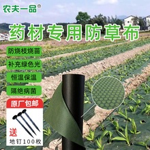 厂家批发新型农用药材绿黑除草布地布地膜降解透气渗水果园防草布