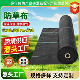园艺盖草布跨境全新农用PE园林果树新型生态遮草布园艺地布除草布