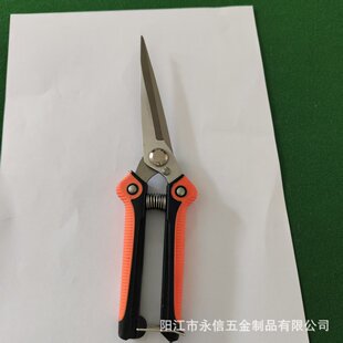 �@�ֹ�����֦���๦�ܘ�֦�����Lϡ������