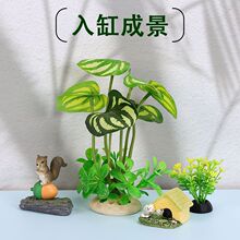 �~���쾰�ײ��b�ƷС�[��һ�����׽M�Ͼ��^����ˮ����؈Ҭ�Ә�