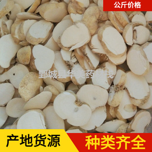 ��ؐĸƬ1000���A����ș�����l�F؛������ؐ��؛����ă�