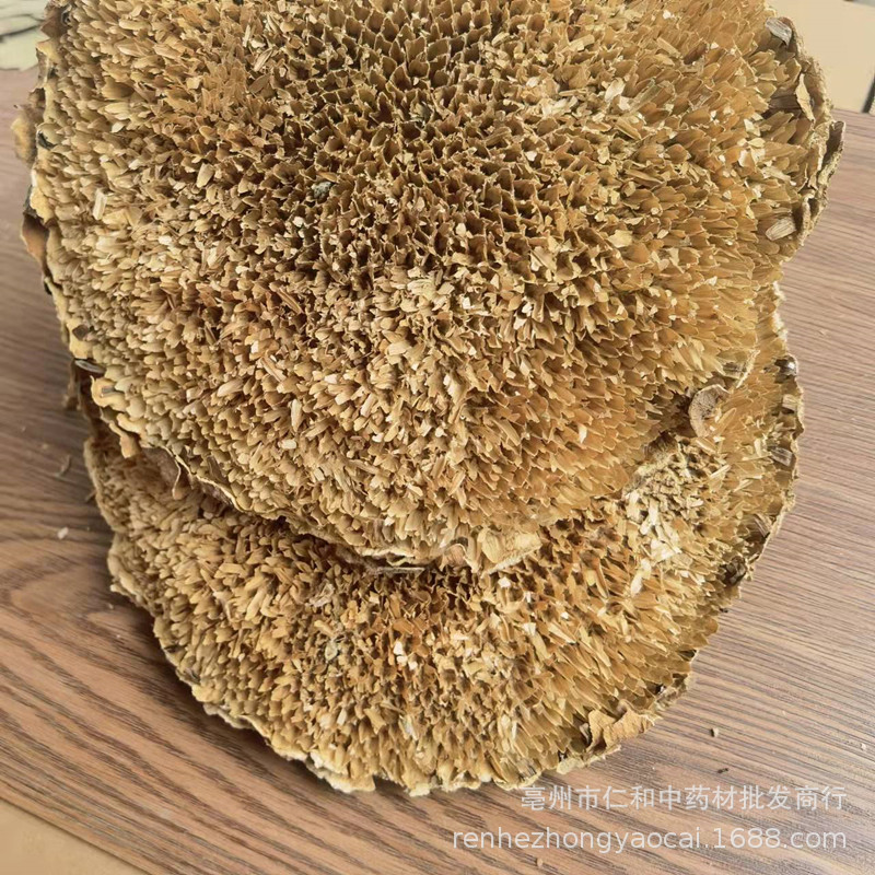 Dried Sunflower Disc Kui Hua Pan Helianthus annuus Whole Flower Receptacle Traditional Herbal Ingredient in use