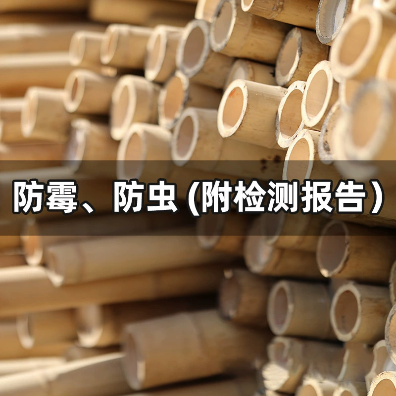 Заводская поставка бамбукового стержня размер бамбукового стержня антикоррозийный карбонизированный бамбуковый стержень Белый бамбук Бамбук оптом бамбуковые украшения