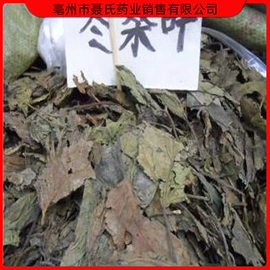 其他药食同源;参类滋补品;三七