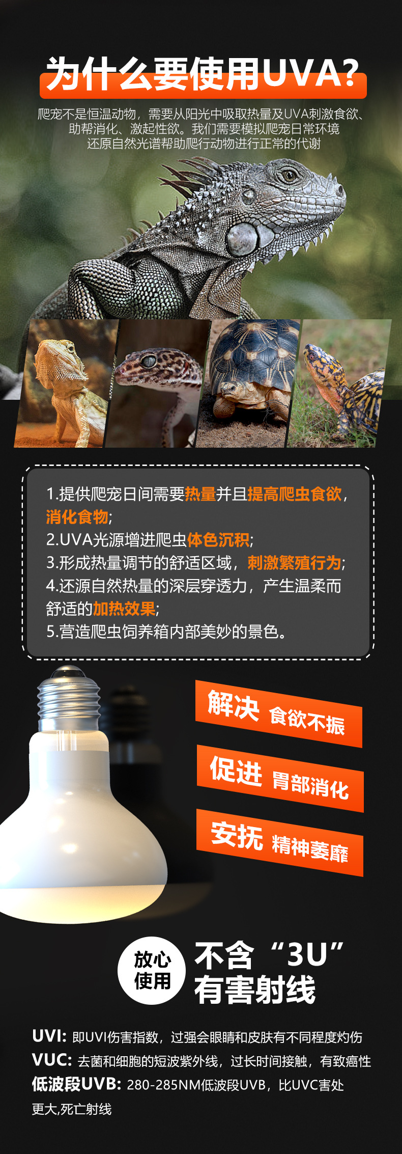 ND-05-聚砂灯2024新版_03