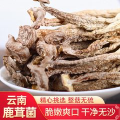 鹿茸茸干物500g鹿茸雲南非野生脆いキノコスープキノコ卸売り共同購入菌スープバッグ