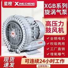 �߉����u�L�C���I��ձ��~�������C���L�C�������������uʽ���