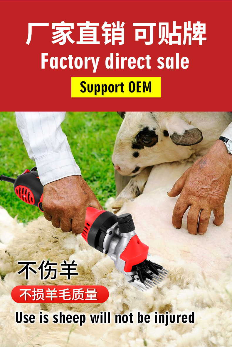 羊毛j_03.jpg