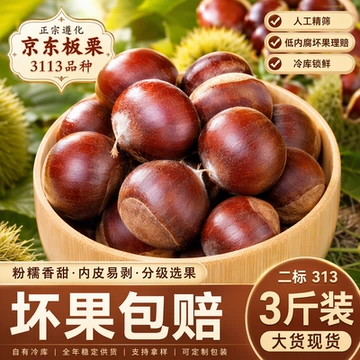 2026年生鲜板栗迁西遵化板栗3113新鲜下树生栗子3斤燕山板栗