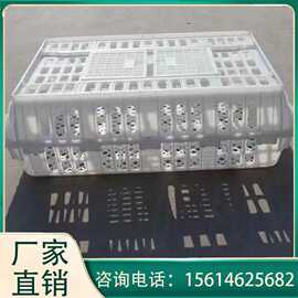 塑料鸡筐价格图片 抗摔鸡鸭运输筐 加厚耐摔鸡鸭运输笼 塑料鸡筐