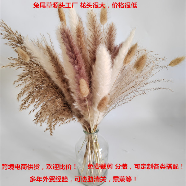 O1CN01Cl5Ia01vdMQ7T24e3_!!2212876546195-0-cib.jpg?__r__=1667636363315