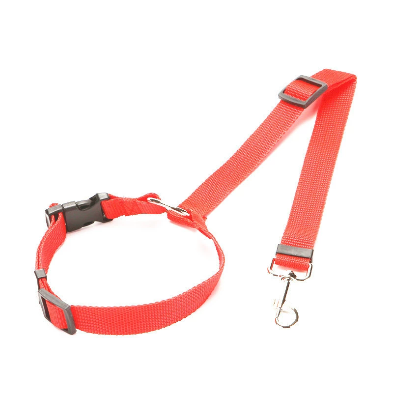 Safety rope, ring, seat belt with leash, Amazon, pet