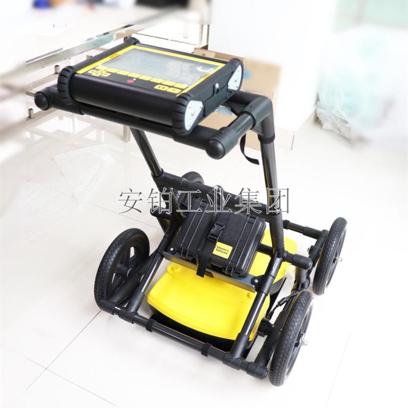 地下非金属管线定位仪RD1100/1500/LMX100/200雷迪探测仪探地雷达