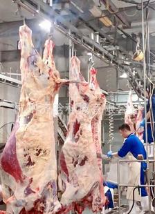 ţ������,��ʽ�����,�_�ع��,�ķ��w�,�ķ��w����ݔ�͙C