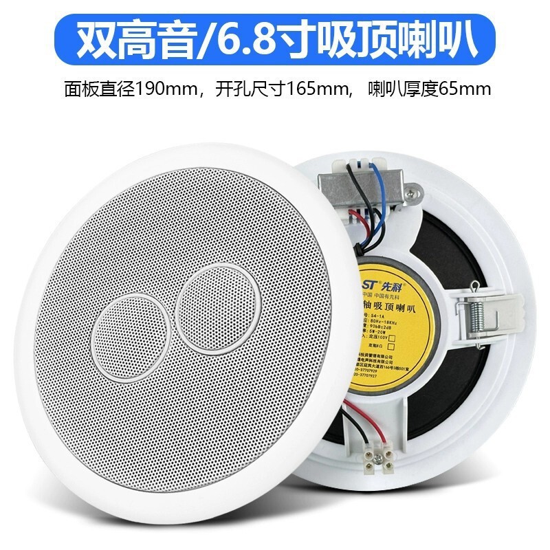 Cross-Border Hot Selling Ceiling Speaker Embedded Ceiling Home Background Music Indoor Speaker Stereo