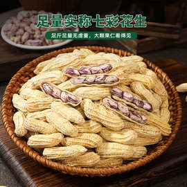 2026云南七彩花生水煮咸干10斤一袋特产休闲坚果零食厂家logo定制