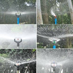 360���Ԅ����D4�֝��˻������^6�ֵ��Έ@�և��F��ƺ�F���������^