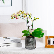 ����ˮ����͸��С���Ի���͏d���愓��ˮ�����Ϙ�֬�[�������m��