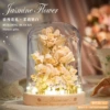 Jasmine milk white [with display cover + warm lamp]