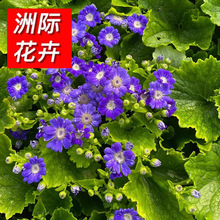 ���~������ ���ؾG��������~�� �����ͺ����Թ�����ľ���~�����l