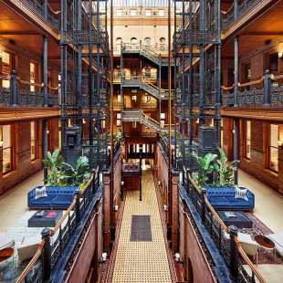 �Ƽ���ľľ��� ɽ�y��ľľ��� ��X����ľ��� ������Ӱľ���