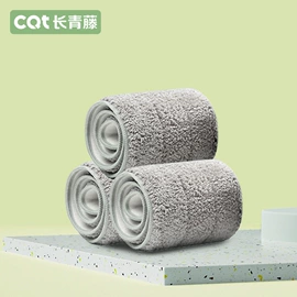 清洁球/刷;玻璃清洁器;拖把、拖布桶