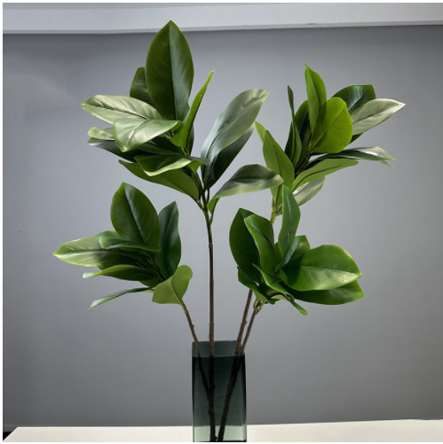 Ins hand-feeling magnolia leaves simulated long-branched plants…