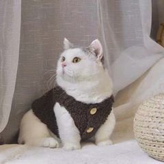 卸売りの子猫は秋冬に毛が落ちないように、羊の小毛のかわいいベストの布猫の青い猫のペット服を着ます。