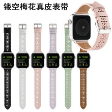 mOAppleWatchU÷Ƥ펧 |ջy ̄͸rб펧