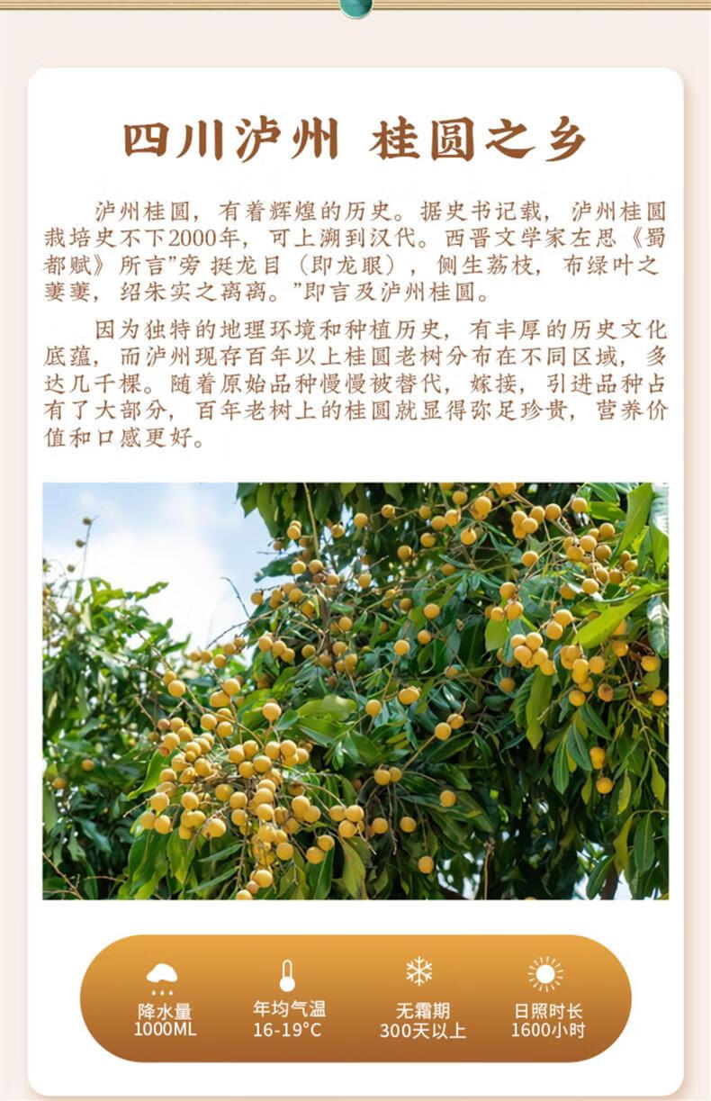 Seedless Dried Longan Long Yan Rou 500g Pitted Longan Flesh for Tea and Soup Loose Pack key features