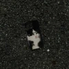 [AK205 Spectacled Cat] Glossy Surface - Four Packs