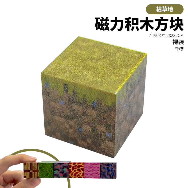 MC My World Magnetic Blocks Puzzle