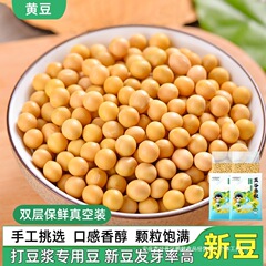 黄豆新货东北农家自种大豆发豆芽五谷杂粮煲汤营养早餐打豆浆
