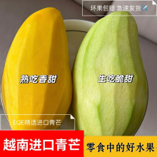 精品A果特大青皮越南进口大青芒自然大果金煌芒生熟两吃净重包邮