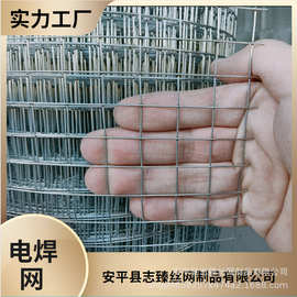 果园围栏网烟道网岩棉网养殖滤芯网建筑保温网荷兰网铁丝网冷镀锌