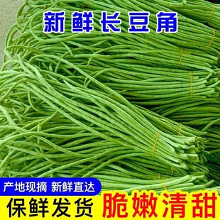 �L���Ǯ������r�r���L�����������r�a��ֱ�l�������۶��Ǵ���