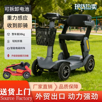 Leisure Electric Scooter, Qatlanan elektrik velosipedlər