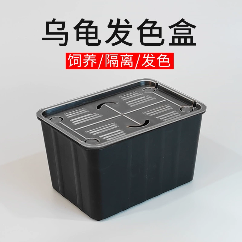 Производитель оптовая продажа черепахи цвет волос коробки черепахи рассада волос инкубация изоляции кормушки коробки отделения коробки черепахи рассада изоляции коробки