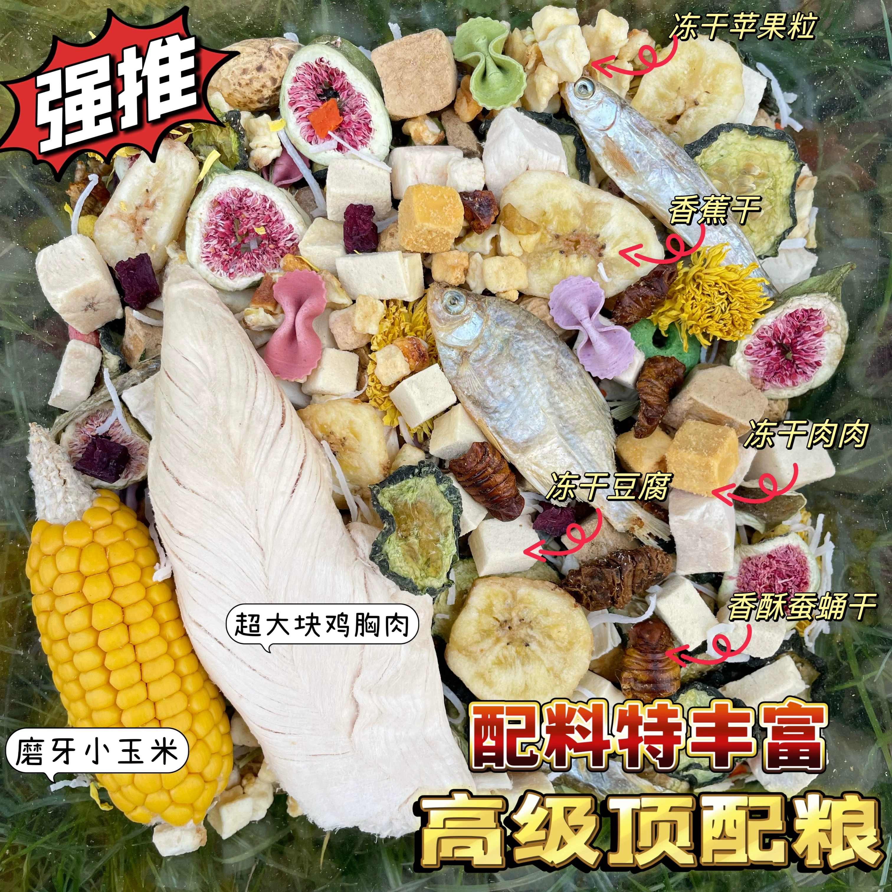 Хомяк золотой медведь, основное зерно, полный набор питательных продуктов, смешанный с зернами, лиофилизированные морепродукты