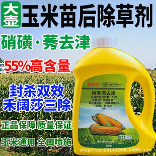 �z�ƙ�55%����ݬȥ�����������݄����������p��Դ�^���S���l