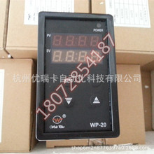 WP-202DL220-12-12-TʾģźŸ