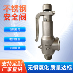 フルオープン式蒸気ボイラー安全弁 A28W-16P スプリング式304ステンレス鋼製ガス貯蔵タンク安全弁メーカー